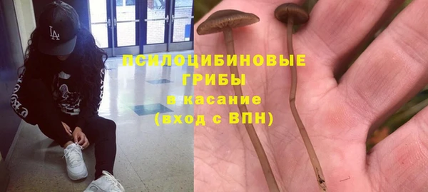 гидропоника Армянск