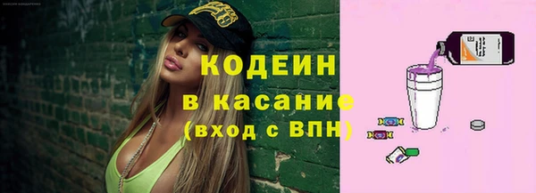 гашик Аркадак