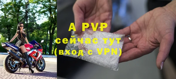 гашик Аркадак