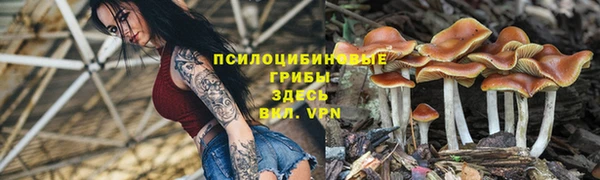 MDMA Арсеньев