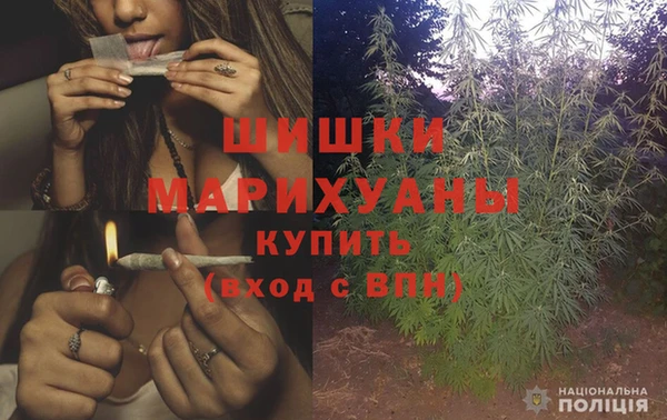 гашик Аркадак