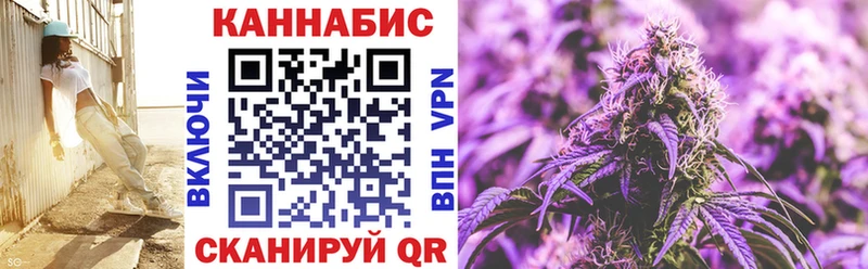 закладка  ссылка на мегу онион  Каннабис планчик  Нижнеудинск 